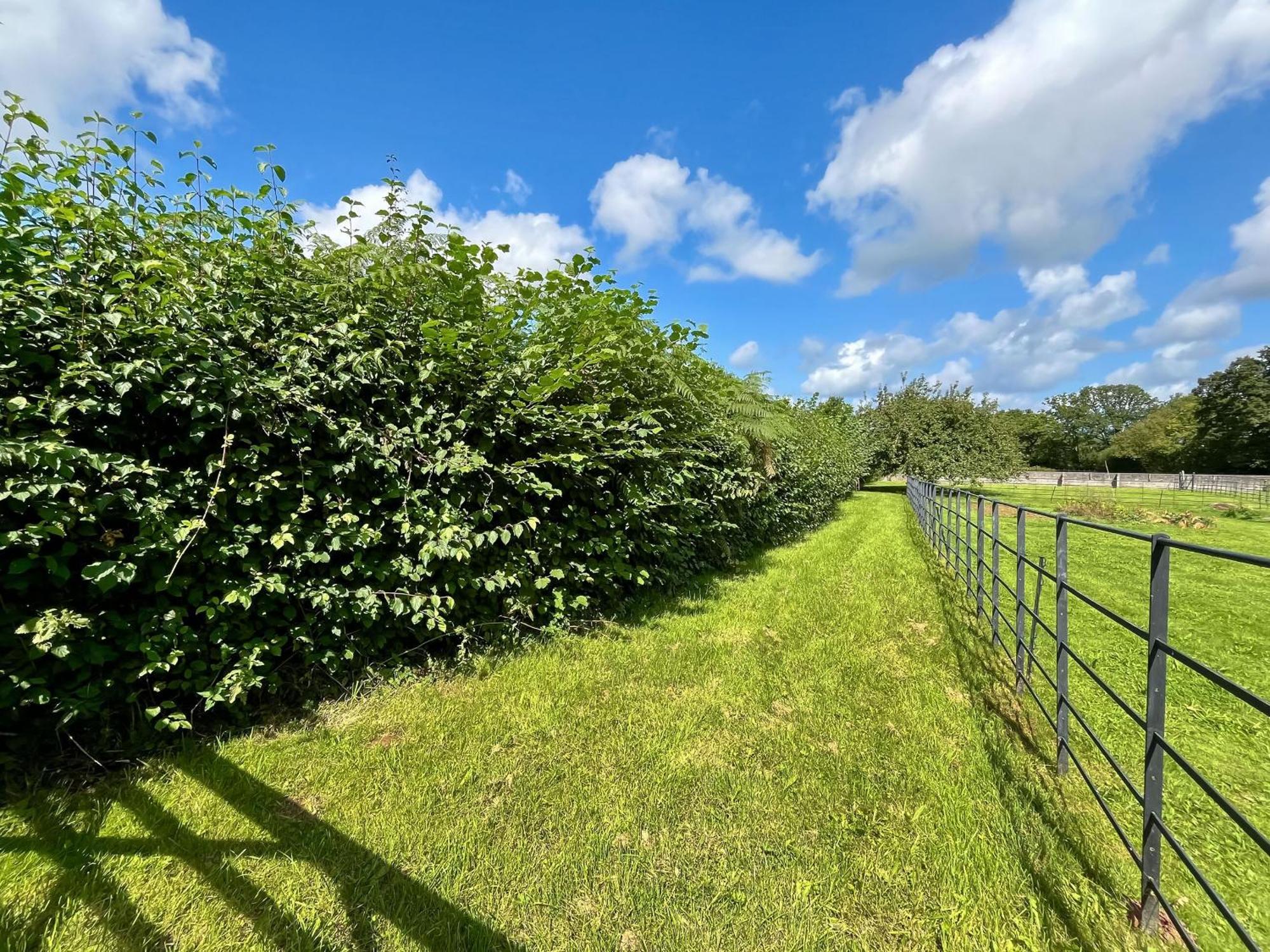 Villa Meadow View Ubley Exterior foto